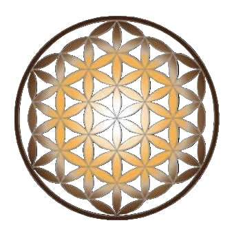 Aloha Seven Flower Of Life Cellular Regeneration Elixir